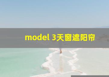 model 3天窗遮阳帘